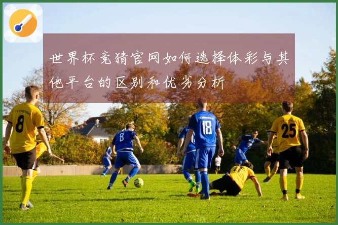 世界杯竞猜官网如何选择体彩与其他平台的区别和优劣分析